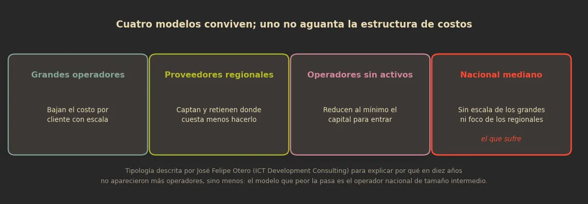 Gráfica: los cuatro modelos de operación (grandes, regionales, sin activos y nacional mediano), con el operador nacional de tamaño intermedio como el que peor aguanta la estructura de costos